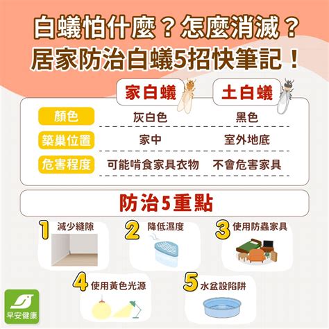 防止白蟻入侵|白蟻怕什麼？防治消滅方法整理包：防堵白蟻入侵5點。